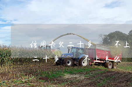 信用卡欠二十多萬還不上怎么辦-信用卡欠二十多萬還不上怎么辦呢