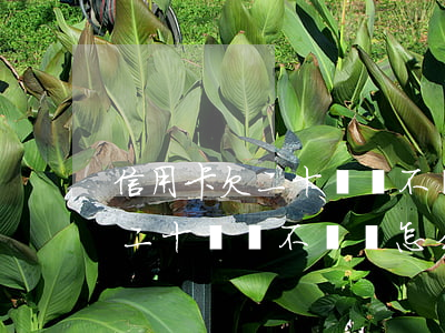信用卡欠二十幾萬不還會怎么樣-信用卡欠二十幾萬不還會怎么樣嗎