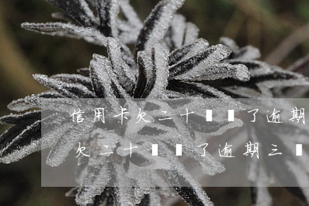 信用卡欠二十幾萬了逾期三個月了-信用卡欠二十幾萬了逾期三個月了怎么辦