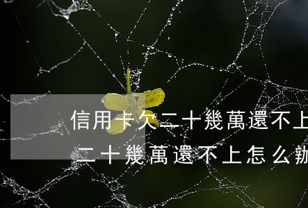 信用卡欠二十幾萬還不上怎么辦-信用卡欠二十幾萬還不上怎么辦呢