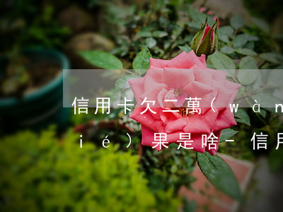 信用卡欠二萬(wàn)六還不上的結(jié)果是啥-信用卡欠二萬(wàn)六還不上的結(jié)果是啥呢