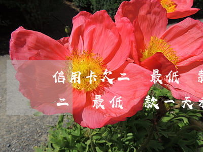 信用卡欠二萬最低還款一天利息-信用卡欠二萬最低還款一天利息多少