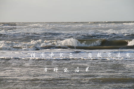 信用卡欠二萬自救方法(欠信用卡2萬還不上會有什么后果)