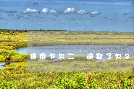 信用卡欠二萬逾期了(欠2萬信用卡逾期一年)