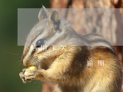信用卡欠二萬還一萬會逾期嗎-信用卡欠二萬還一萬會逾期嗎