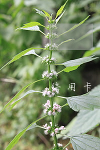 信用卡欠五万三个月了提心吊胆-