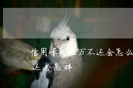 信用卡欠五万不还会怎么样(欠信用卡五千不还会怎样)