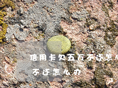 信用卡欠五万不还怎么办(欠信用卡5千块钱不还怎么办)