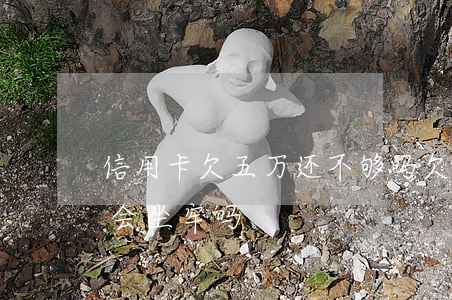 信用卡欠五万还不够吗(欠信用卡5万还不上会坐牢吗)