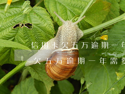 信用卡欠五万逾期一年需要还多少-信用卡欠五万逾期一年需要还多少利息