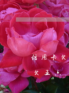 信用卡欠五六萬(wàn)怎么辦-信用卡欠五六萬(wàn)怎么辦理