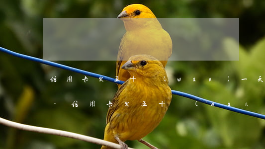 信用卡欠五十萬(wàn)一天利息要多少-信用卡欠五十萬(wàn)一天利息要多少錢