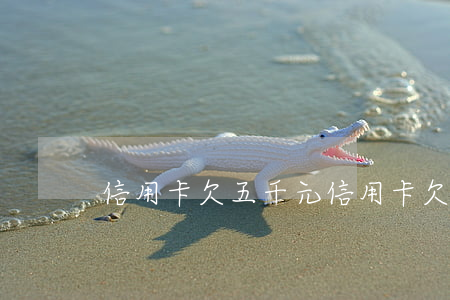 信用卡欠五千元(信用卡欠五千元能起訴嗎)