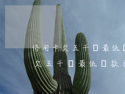 信用卡欠五千塊最低還款要還多少-信用卡欠五千塊最低還款要還多少錢