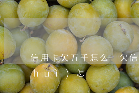 信用卡欠五千怎么辦(欠信用卡五千不還會(huì)怎樣)