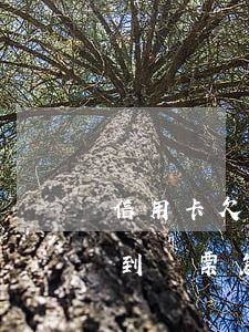 信用卡欠五千發(fā)來傳票 欠信用卡收到傳票怎么辦