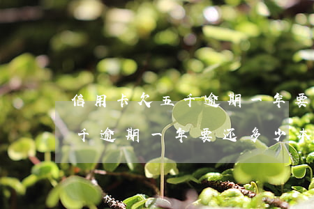 信用卡欠五千逾期一年要还多少(信用卡欠五千逾期一年要还多少本金)
