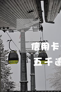 信用卡欠五千逾期一年要還多少-信用卡欠五千逾期一年要還多少利息
