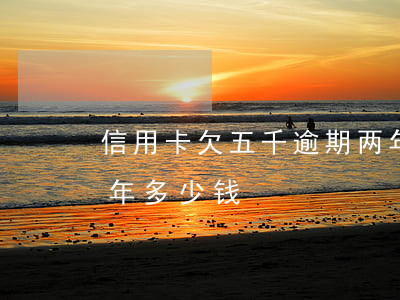 信用卡欠五千逾期两年(欠五万信用卡逾期一年多少钱)