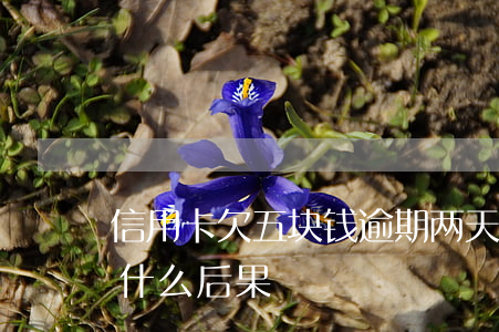 信用卡欠五块钱逾期两天(信用卡逾期5天有什么后果)
