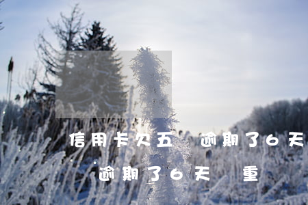 信用卡欠五塊逾期了6天嚴重嗎(信用卡欠五塊逾期了6天嚴重嗎)