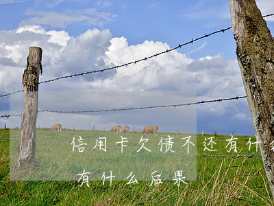 信用卡欠债不还有什么后果(信用卡欠债不还有什么后果)