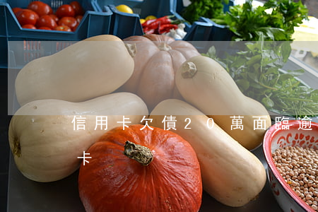 信用卡欠債20萬面臨逾期(欠了20萬信用卡)