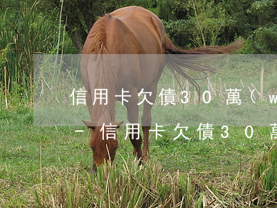 信用卡欠債30萬(wàn)還不上怎么辦-信用卡欠債30萬(wàn)還不上怎么辦呢