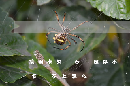 信用卡欠債6萬可以不還么(欠了六萬多信用卡還不上怎么辦)