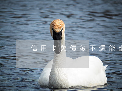 信用卡欠債多不還能坐牢嗎