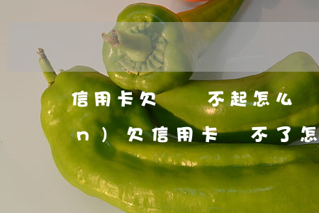 信用卡欠債還不起怎么辦(欠債破產(chǎn)欠信用卡還不了怎么辦)