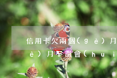 信用卡欠兩個(gè)月(信用卡欠兩個(gè)月不還會(huì)怎么樣)