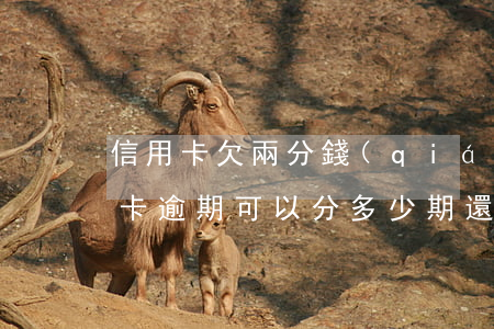 信用卡欠兩分錢(qián)算逾期嗎(信用卡逾期可以分多少期還)