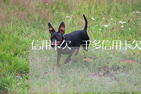 信用卡欠兩千多(信用卡欠三萬(wàn))