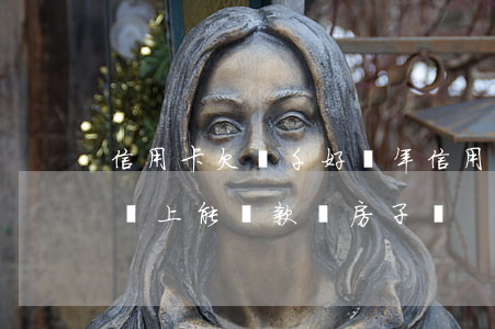 信用卡欠兩千好幾年(信用卡欠兩千好幾年了還上能貸款買房子嗎)