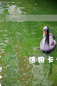 信用卡欠兩千要不要還