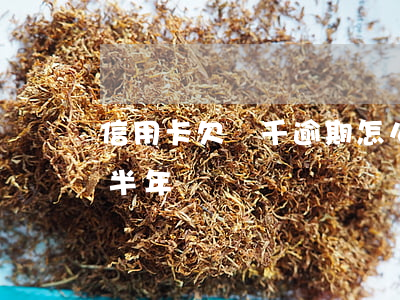 信用卡欠兩千逾期怎么辦(欠信用卡一千逾期半年)