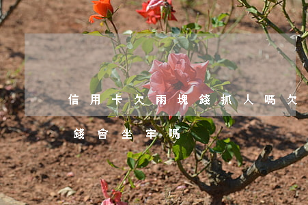信用卡欠兩塊錢抓人嗎(欠信用卡2000塊錢會坐牢嗎?)