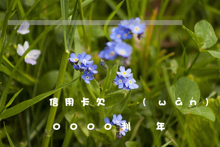 信用卡欠兩萬(wàn)判幾年(欠信用卡20000判幾年)