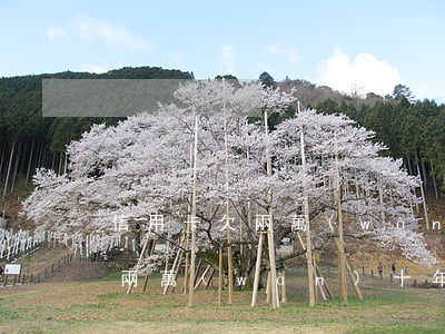 信用卡欠兩萬(wàn)十年不還(信用卡欠兩萬(wàn)十年不還)