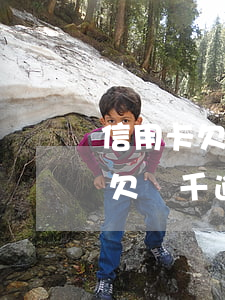 信用卡欠兩萬(wàn)多逾期半年(信用卡欠兩千逾期兩年)