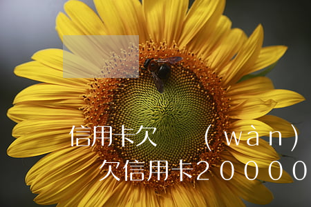 信用卡欠兩萬(wàn)會(huì)拘留嗎(欠信用卡20000會(huì)坐牢嗎)