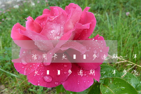 信用卡欠兩萬多逾期一年多怎么辦-信用卡欠兩萬多逾期一年多怎么辦啊