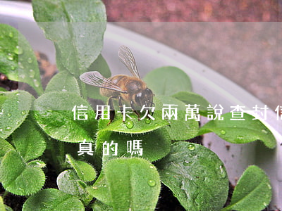 信用卡欠兩萬說查封 信用卡欠兩萬說查封是真的嗎