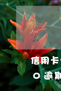 信用卡欠兩萬逾期90天(欠信用卡10000逾期一年)