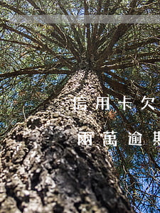 信用卡欠兩萬逾期了會不會起訴-信用卡欠兩萬逾期了會不會起訴我