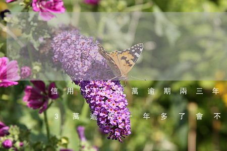 信用卡欠兩萬逾期兩三年會坐牢嗎(欠信用卡3萬逾期一年多了會不會坐牢)
