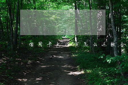 信用卡欠八万怎么还款合理