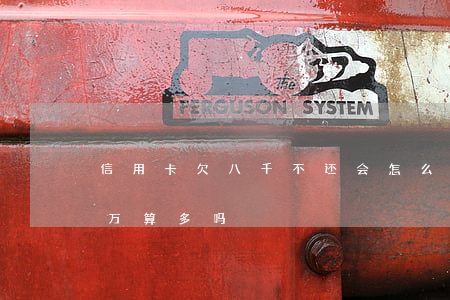 信用卡欠八千不还会怎么样(我信用卡欠七八万算多吗)