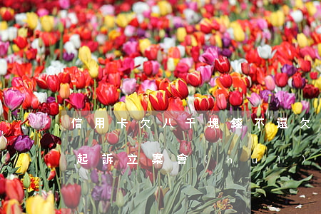 信用卡欠八千塊錢不還(欠信用卡八千多塊錢 起訴立案會(huì)怎么樣)